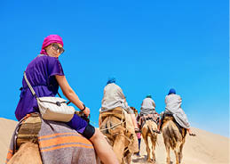 Group of tourists riding on camels  Safari tourism  Sahara desert, Tunisia, North Africa 