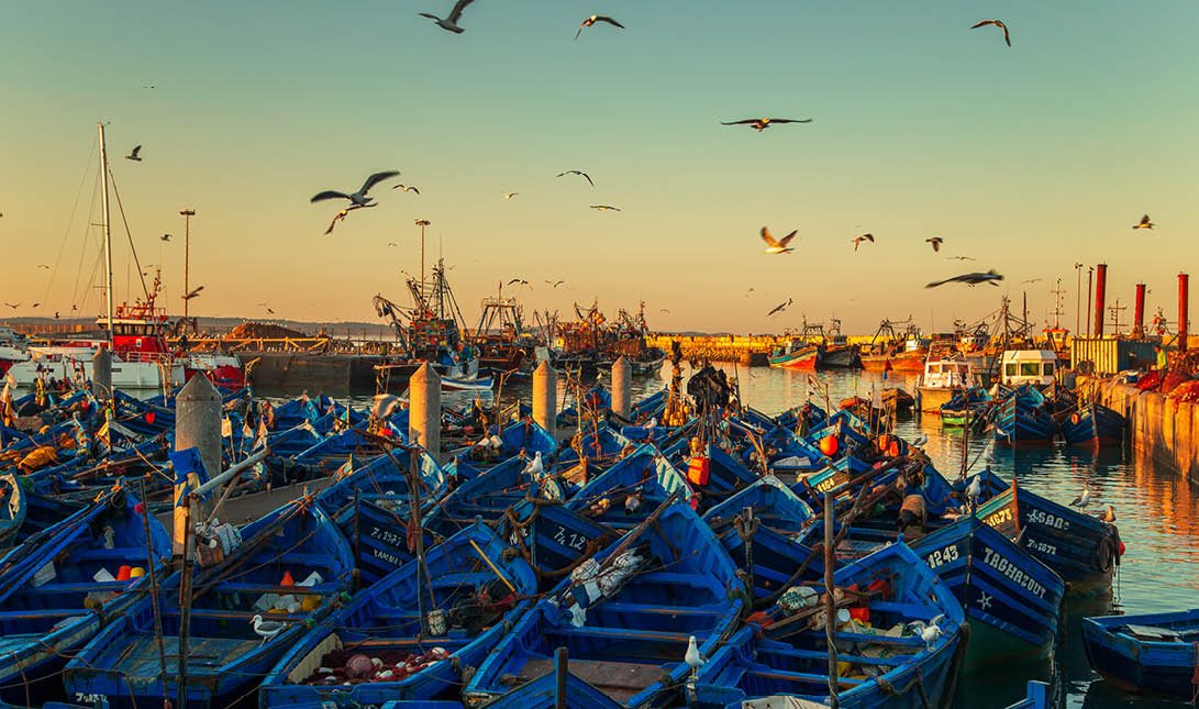The famous blue boats in the port of Essaouira  Dawn  Essaouira, Morocco - September 22, 2019 