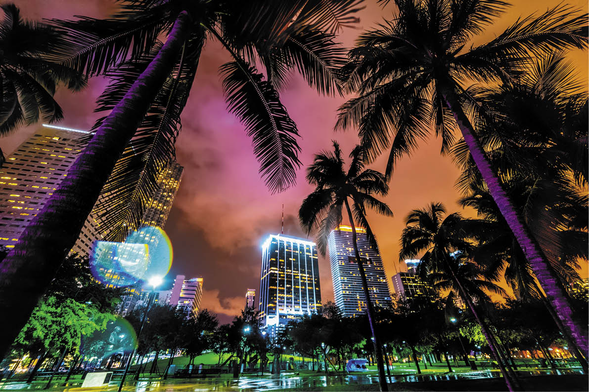 Skyscrapers and palm trees in Miami Bayfront park, USA
