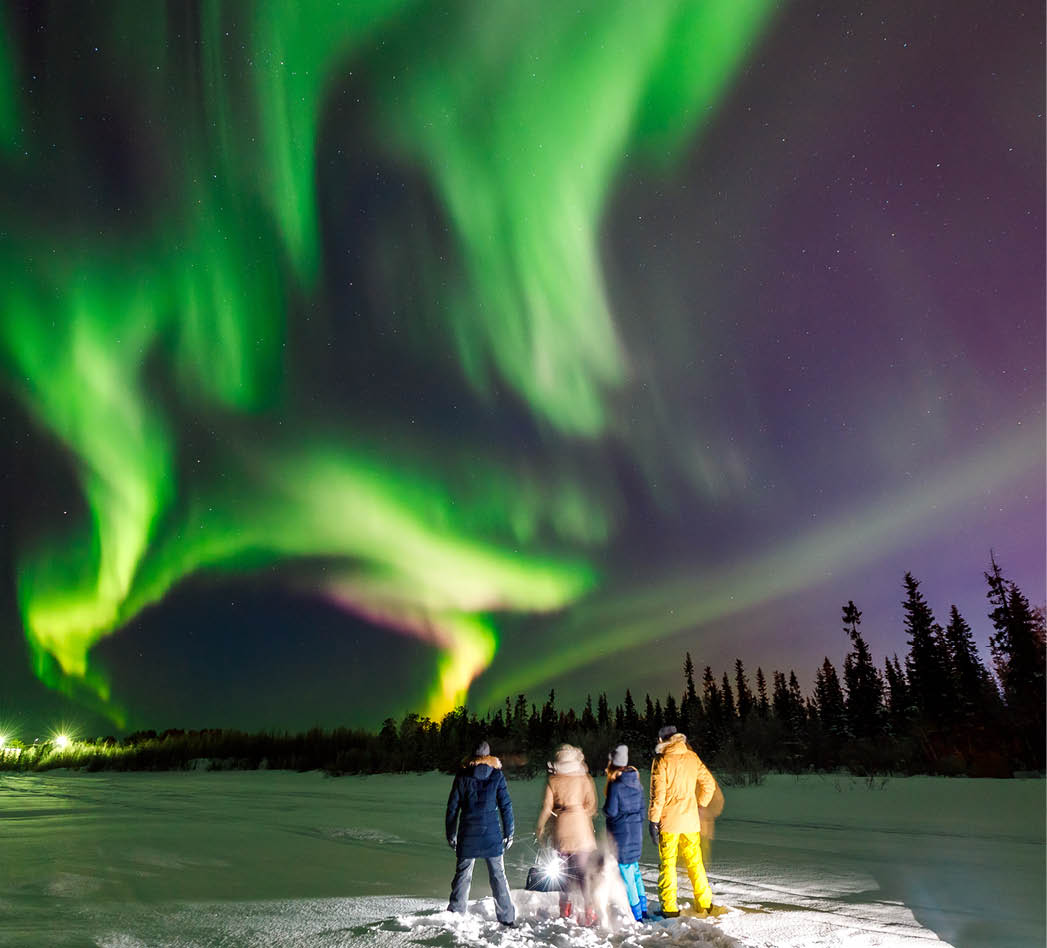 Company of friends tourist looks northern lights at edge forest  Soft focus blur effect