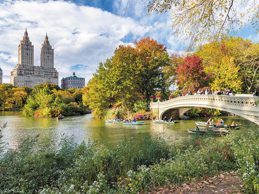 Beautiful foliage colors of New York Central Park 