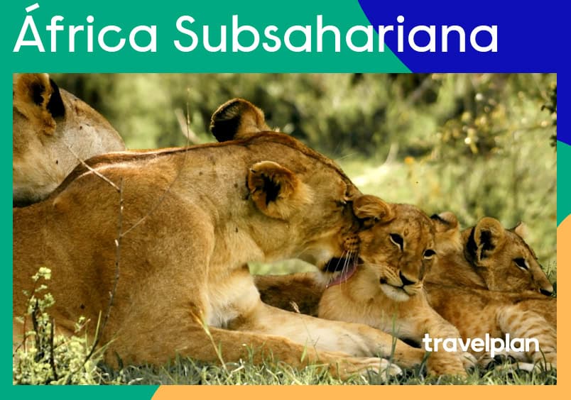 Travelplan catálogos digitales. Emagazines creados por Indesigners Estudio Creativo