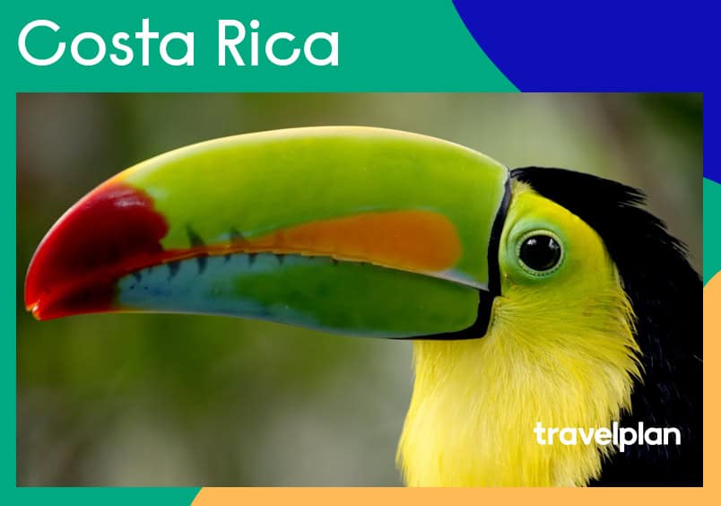 Travelplan catálogos digitales. Emagazines creados por Indesigners Estudio Creativo